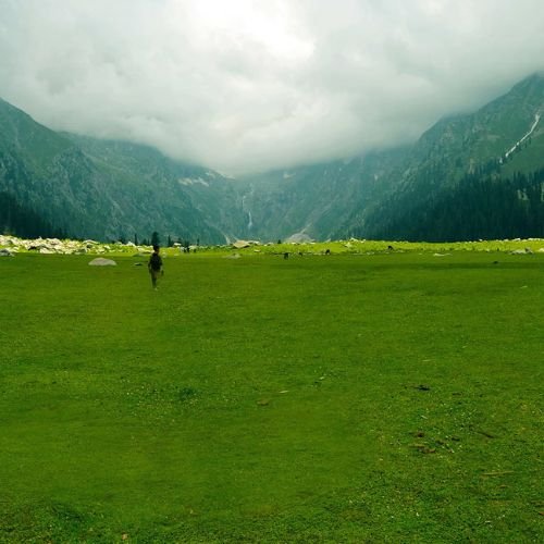 listing-details-carousel